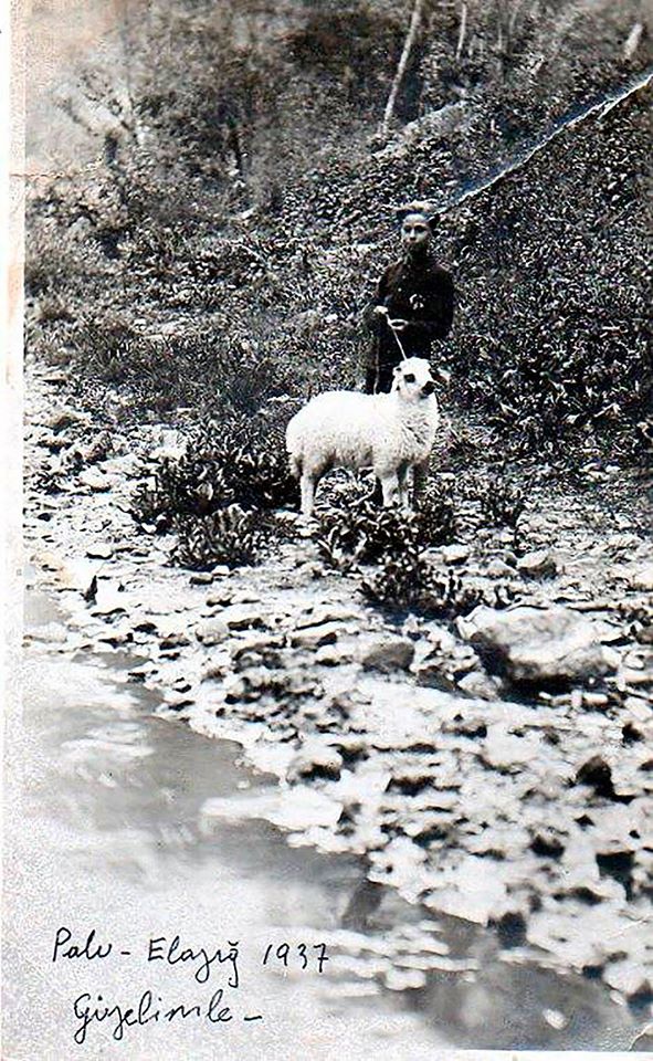 PALU - 1937 - G&uuml;zel bir nostalji 
S&uuml;leyman Yap?c? Ar?ivi